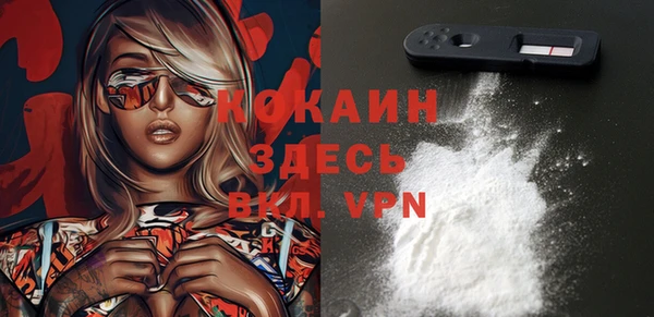 мдпв Корсаков