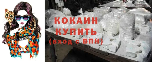 мдпв Корсаков