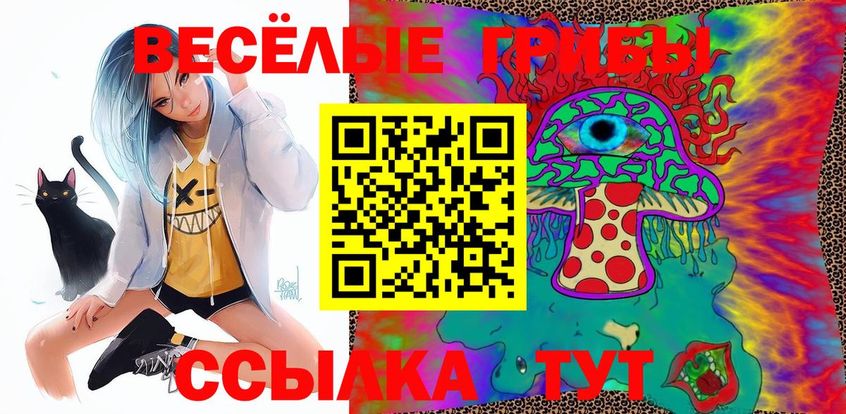 Псилоцибиновые грибы Psilocybine cubensis Лысьва